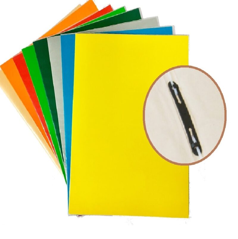 CARPETA PLASTIFICADA ACCOCLIP <br> COD:S0033